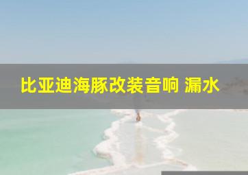 比亚迪海豚改装音响 漏水